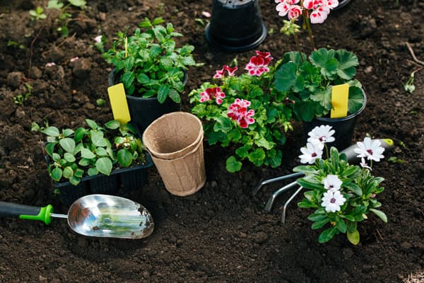 Tus jardineros en A Coruña